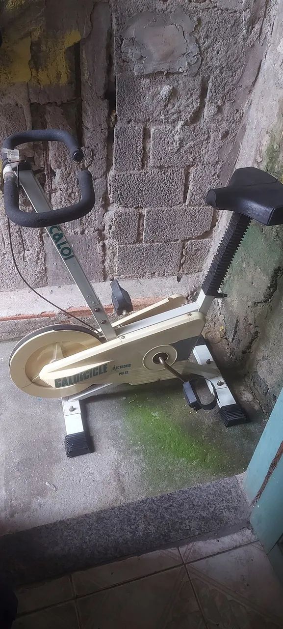Bicicleta ergometrica 