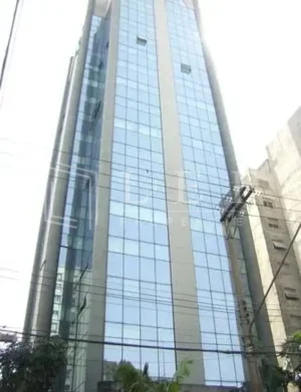 R Teodoro Sampaio, Pinheiros