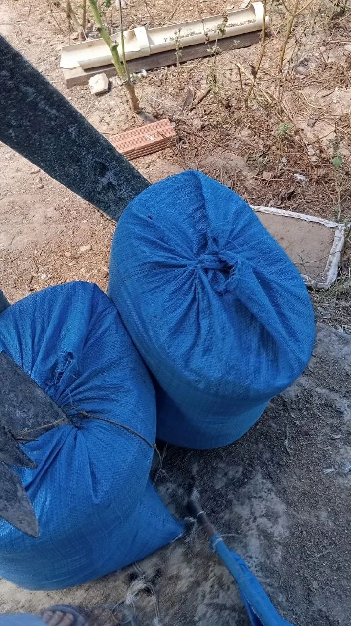 Esterco de  galinhas  - Foto 2
