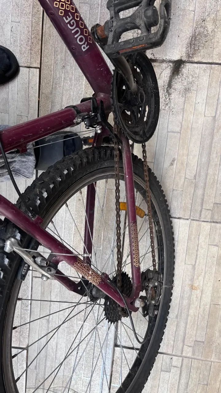 Bicicleta 