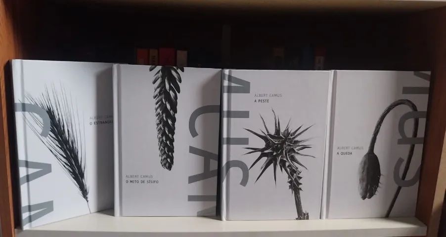 Livro - Foto 5