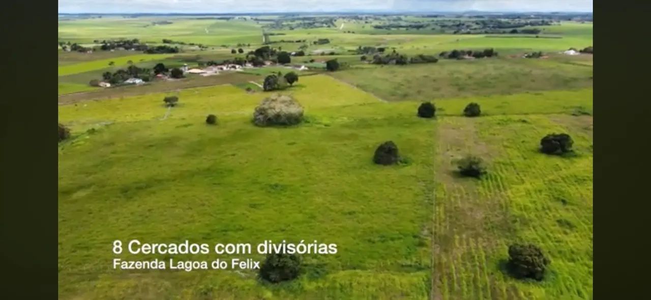 Fazenda 48 hectares 4 açudes região de mari - Foto 2