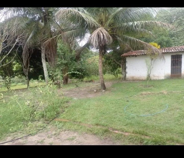 Granja no conde  - Foto 3
