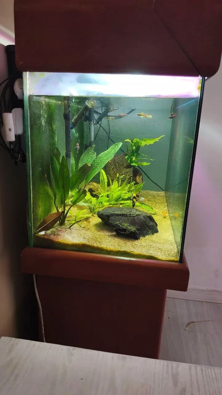 AQUÁRIO 120 LITROS - Foto 3