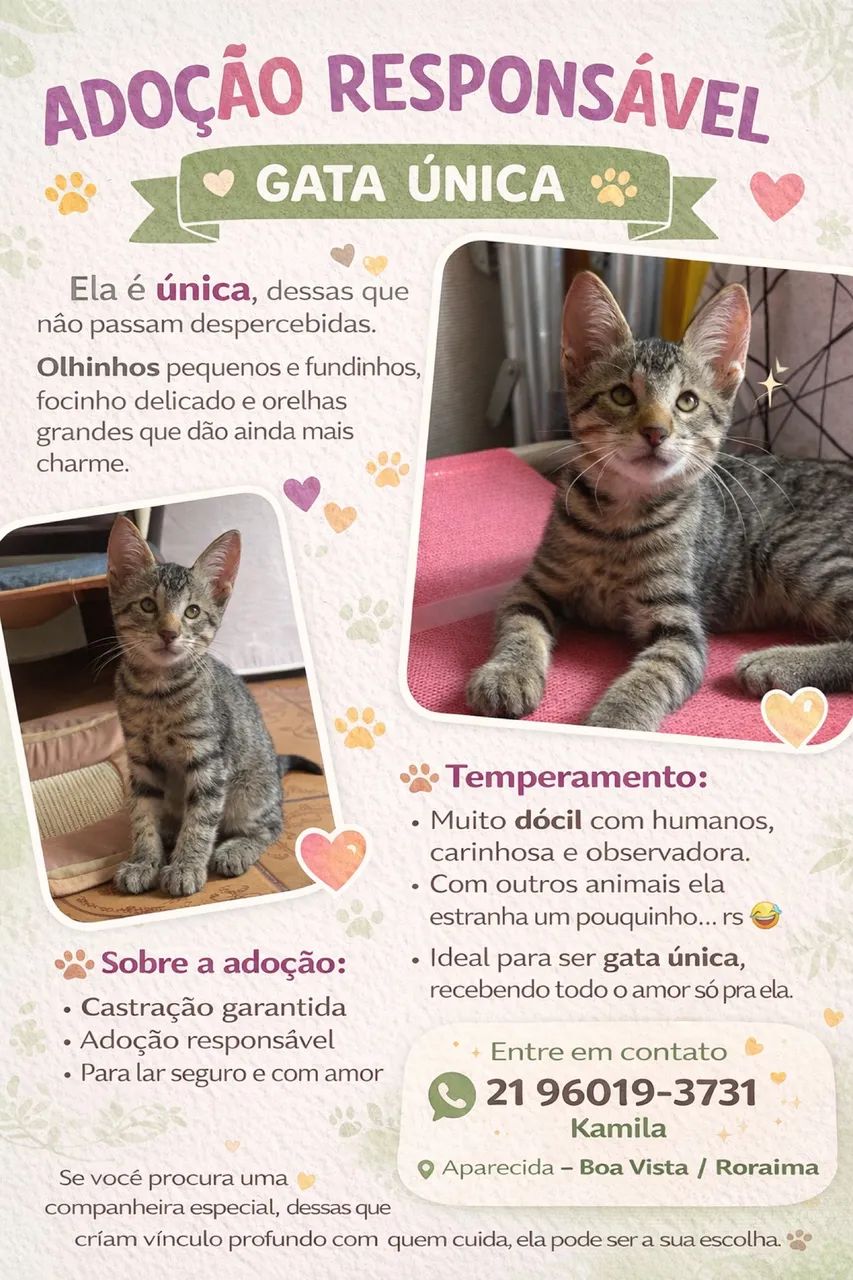 Gata única - adoção responsável  