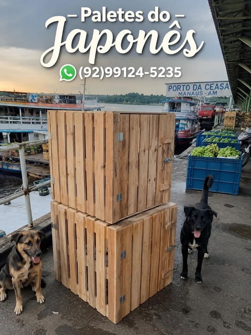 Caixa de transporte pet Animais 