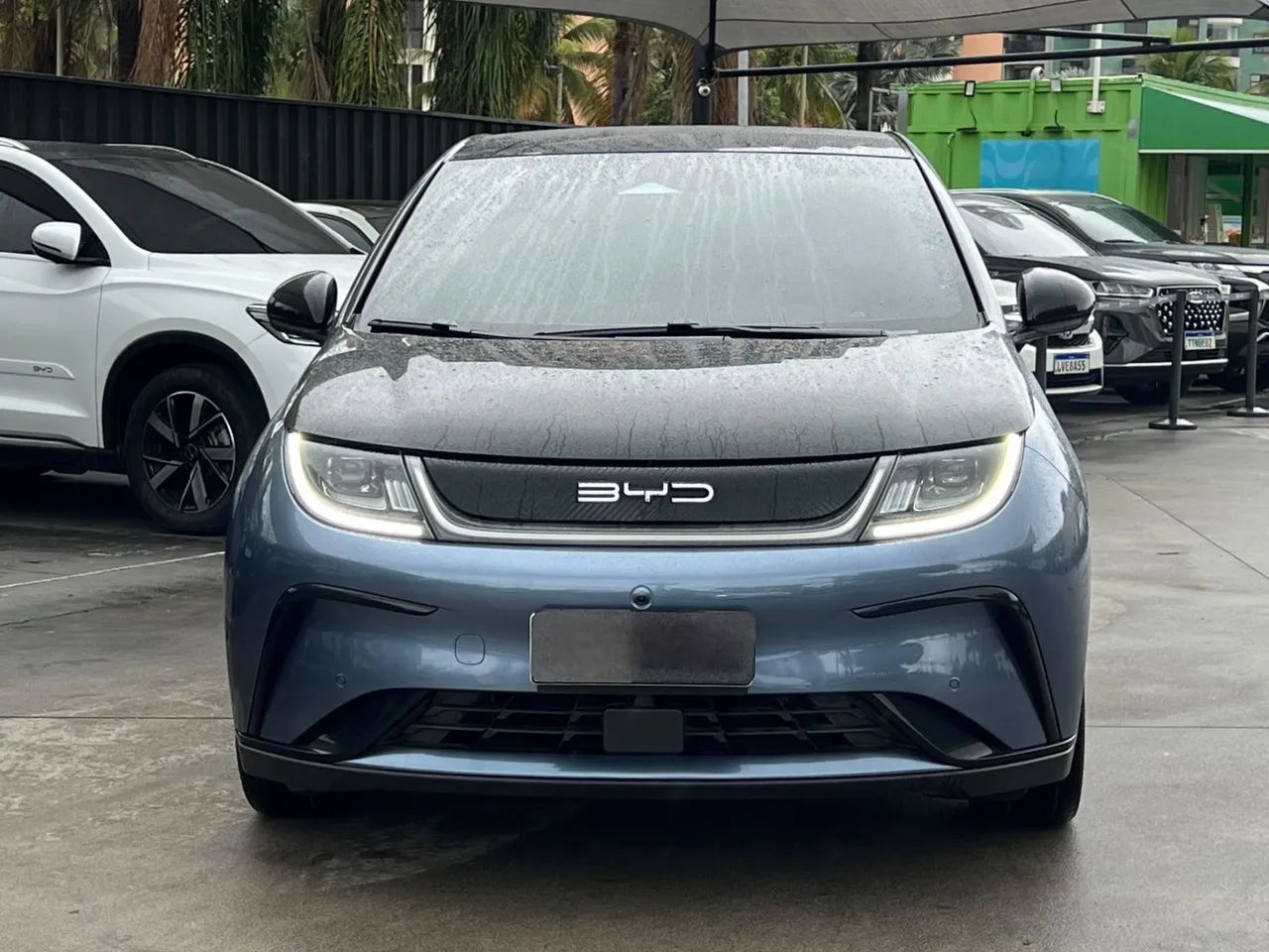 BYD Dolphin Plus (Elétrico) 2025 - Foto 2