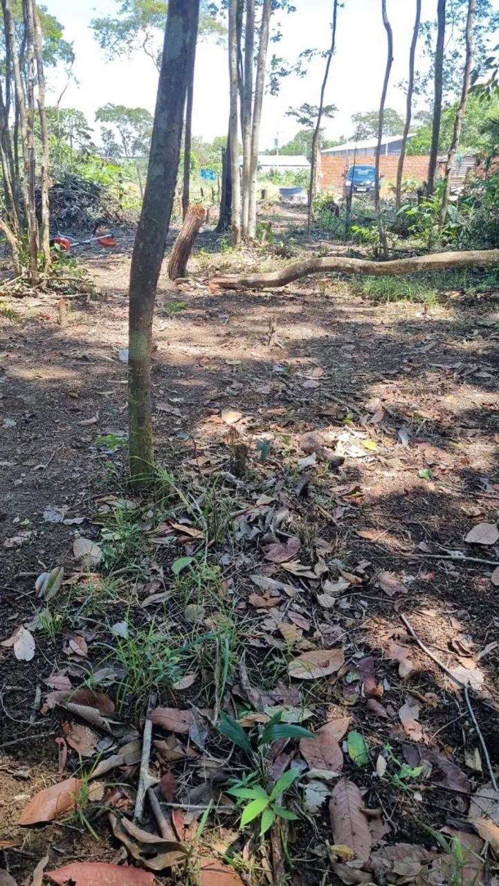 Vendo Terreno No Goiabal  - Foto 3