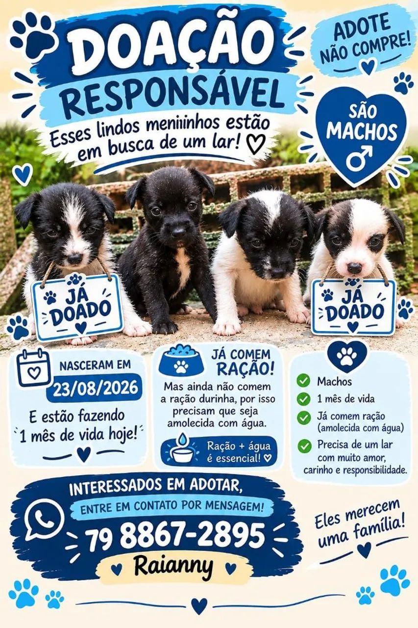 Doação 