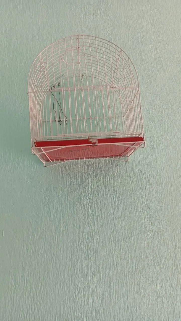 Gaiola - Foto 3