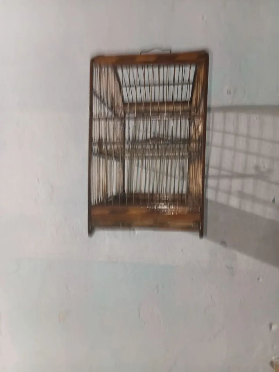 Gaiola - Foto 4