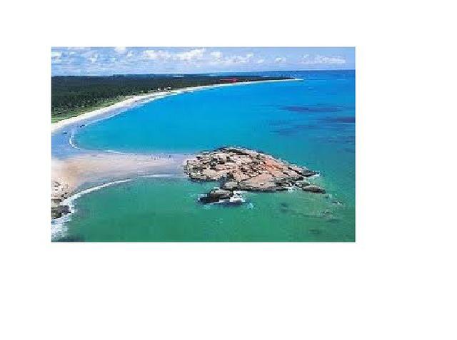 Fazenda na beira mar de Tamandaré ? Ideal para investidores - Foto 2