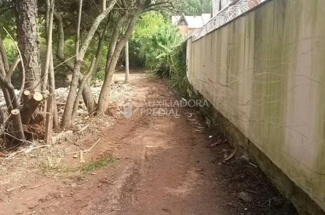Terreno para alugar em Tristeza, Porto alegre cod:227483 - Foto 5