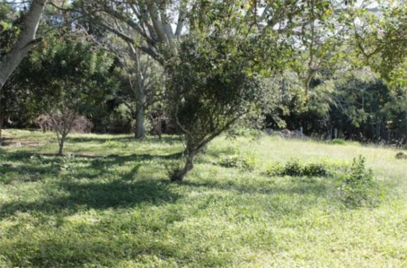 Terreno à venda em Aberta dos morros, Porto alegre cod:LU264397 - Foto 3