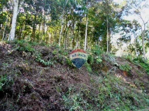 Terreno residencial à venda, Fazenda Boa Fé, Teresópolis. - Foto 7