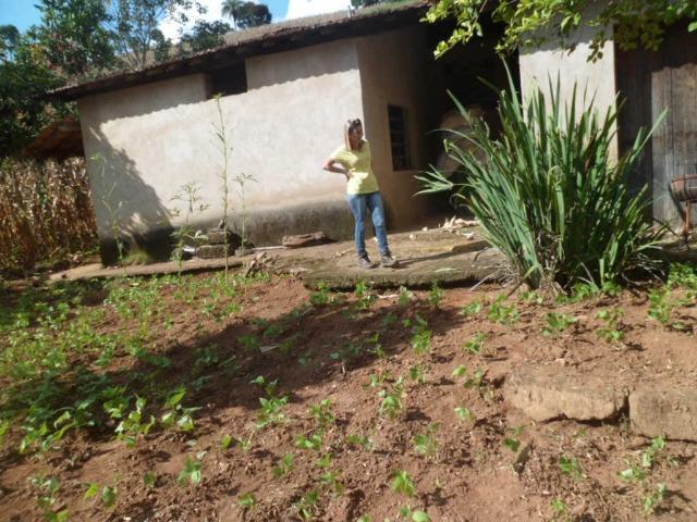 226B/Fazendinha de 15 ha com terras extraordinárias - grande oportunidade - Foto 3