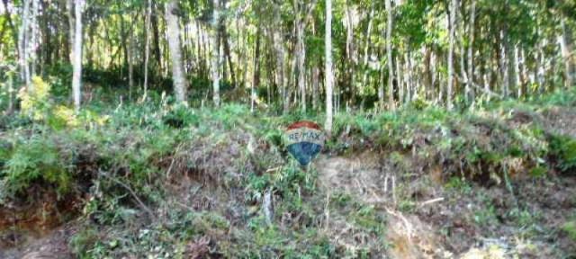 Terreno residencial à venda, Fazenda Boa Fé, Teresópolis. - Foto 16