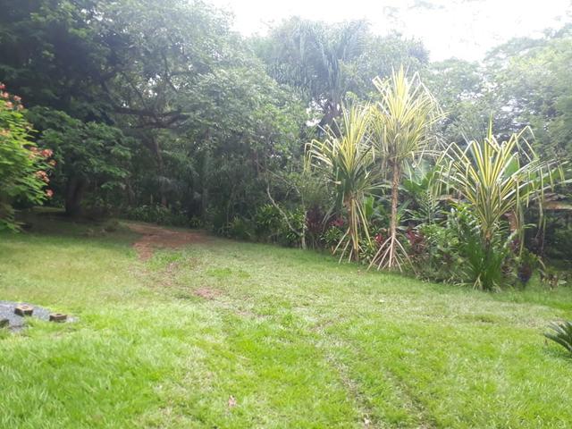Chacara estrada de chapada dos guimarães - Foto 3