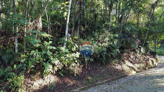 Terreno residencial à venda, Carlos Guinle, Teresópolis - TE0017.
