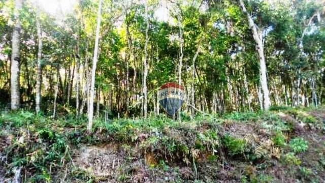 Terreno residencial à venda, Fazenda Boa Fé, Teresópolis. - Foto 18