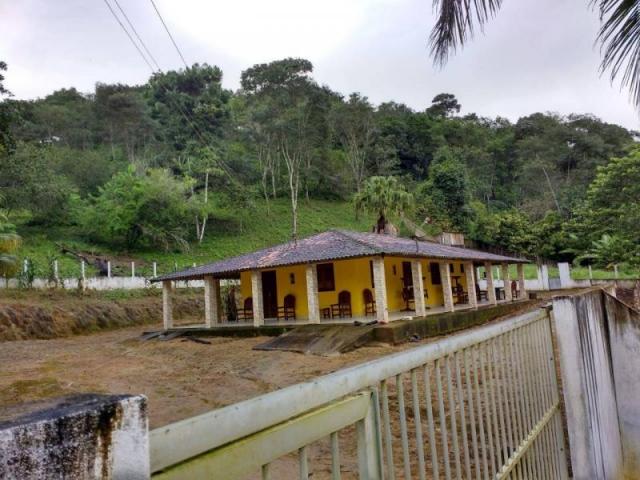 Fazenda para venda em maraial, maraial - Foto 3