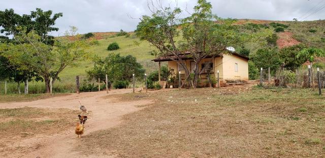 Fazenda 12 alqueires em Governador Valadares/MG - Foto 12