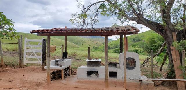 Fazenda 12 alqueires em Governador Valadares/MG - Foto 9