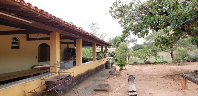 Fazenda 12 alqueires em Governador Valadares/MG - Foto 17