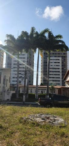 Palmeiras imperiais - Produção Rural - Nova Parnamirim ...