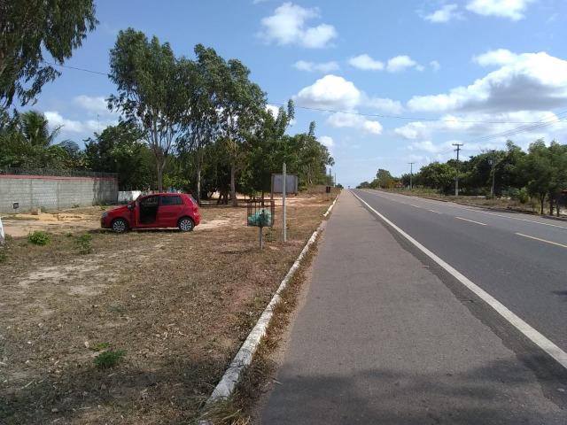 Terreno na baixa da carnaúba no km16 Parnaíba PI - Foto 7