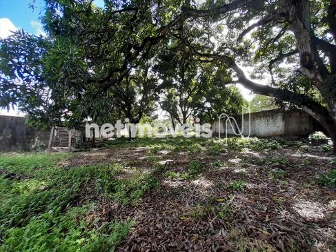 Terreno à venda em Jangurussu, Fortaleza cod:754573 - Foto 16