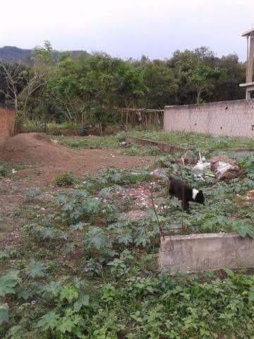 Otimo terreno no Rio da Prata de Campo Grande - Foto 3