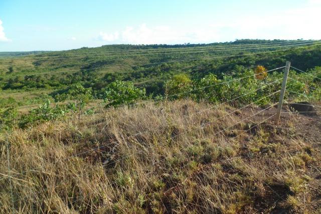 Terras em Formoso MG - Foto 9