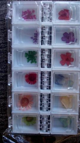 Promoção Flores Secas Para Encapsulamento de Unhas