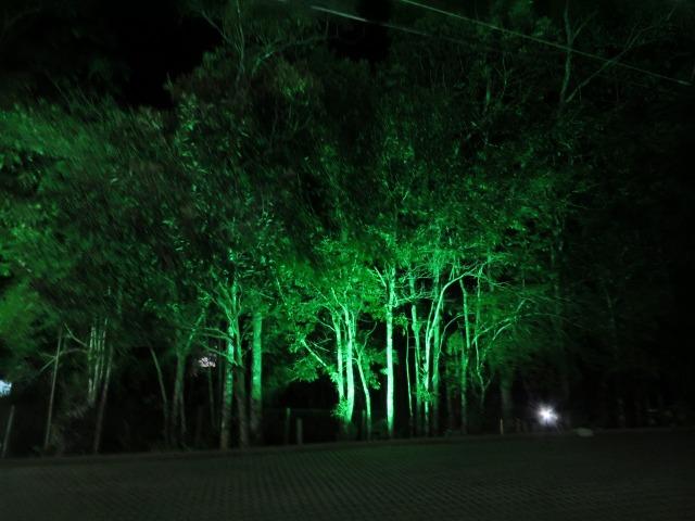 Sítio cantos parque - Foto 6