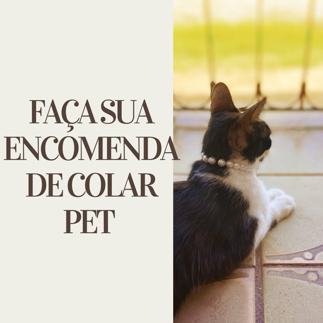 Colar pet