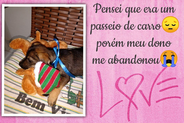 Me Adota !