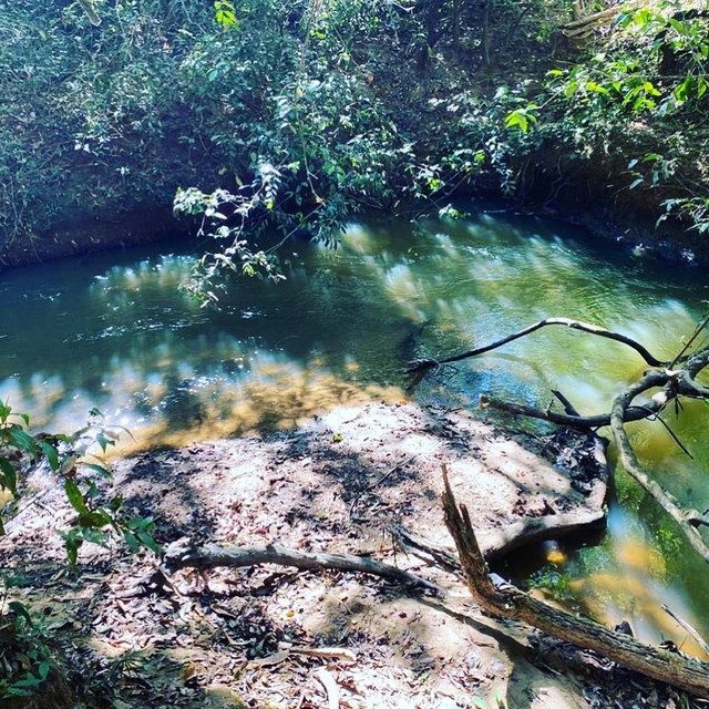 Chácara com casa em piracanjuba - Foto 6