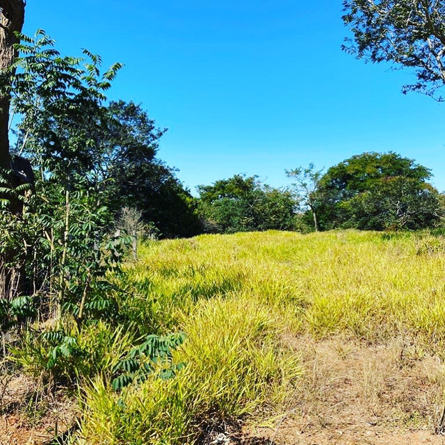 Chácara com casa em piracanjuba - Foto 7