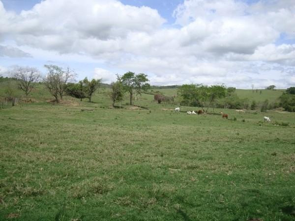Realize seu sonho e adquira já sua propriedade rural ou urbana - Foto 4