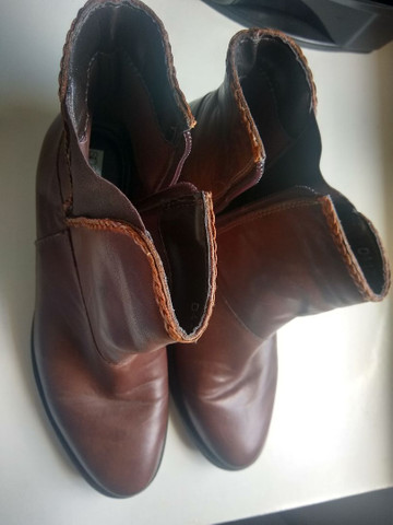 bota spatifilus cano curto