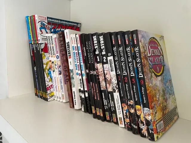 Boku no hero / my hero academia - Livros e revistas - Centro