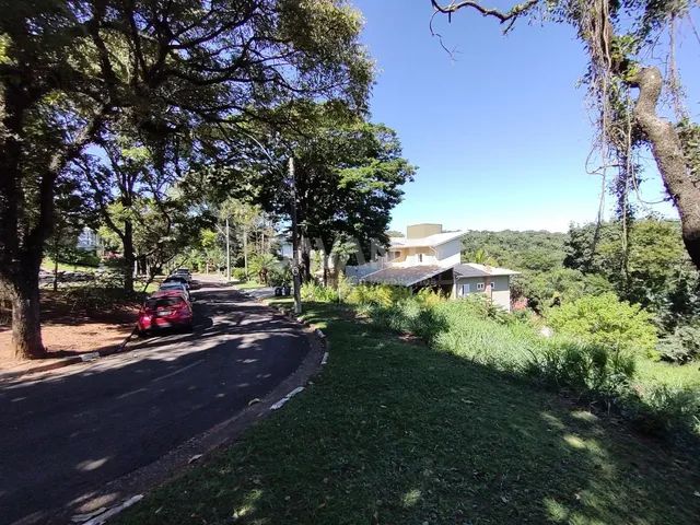 terreno - Chácara Flora - Valinhos - Foto 5