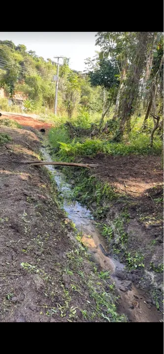 Terreno com riacho cristalino em agro Brasil cachoeiras de macacu