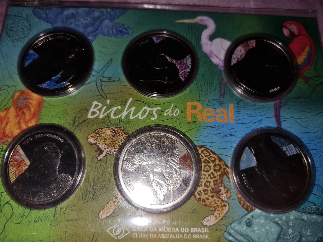 Medalhas Comemorativas "Bichos do Real" - Cuproníquel - Foto 5