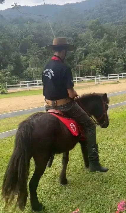 Pônei para passeio e uma ovelha - Foto 4