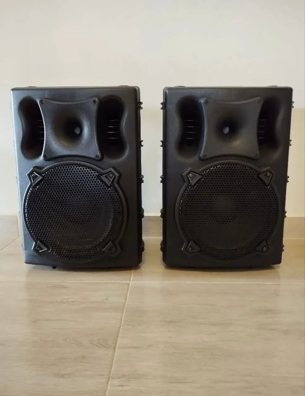 Caixa de som profissional 