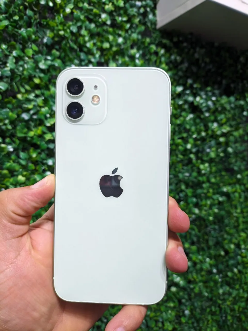 iPhone 12 128 GB semi-novo impecável original