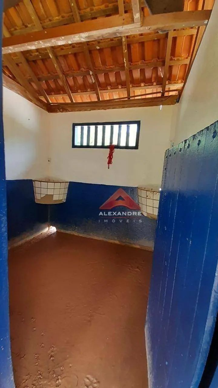 Chácara com 5 dormitórios à venda, 36300 m² por R$ 1.680.000,00 - Costinha - São José dos  - Foto 3