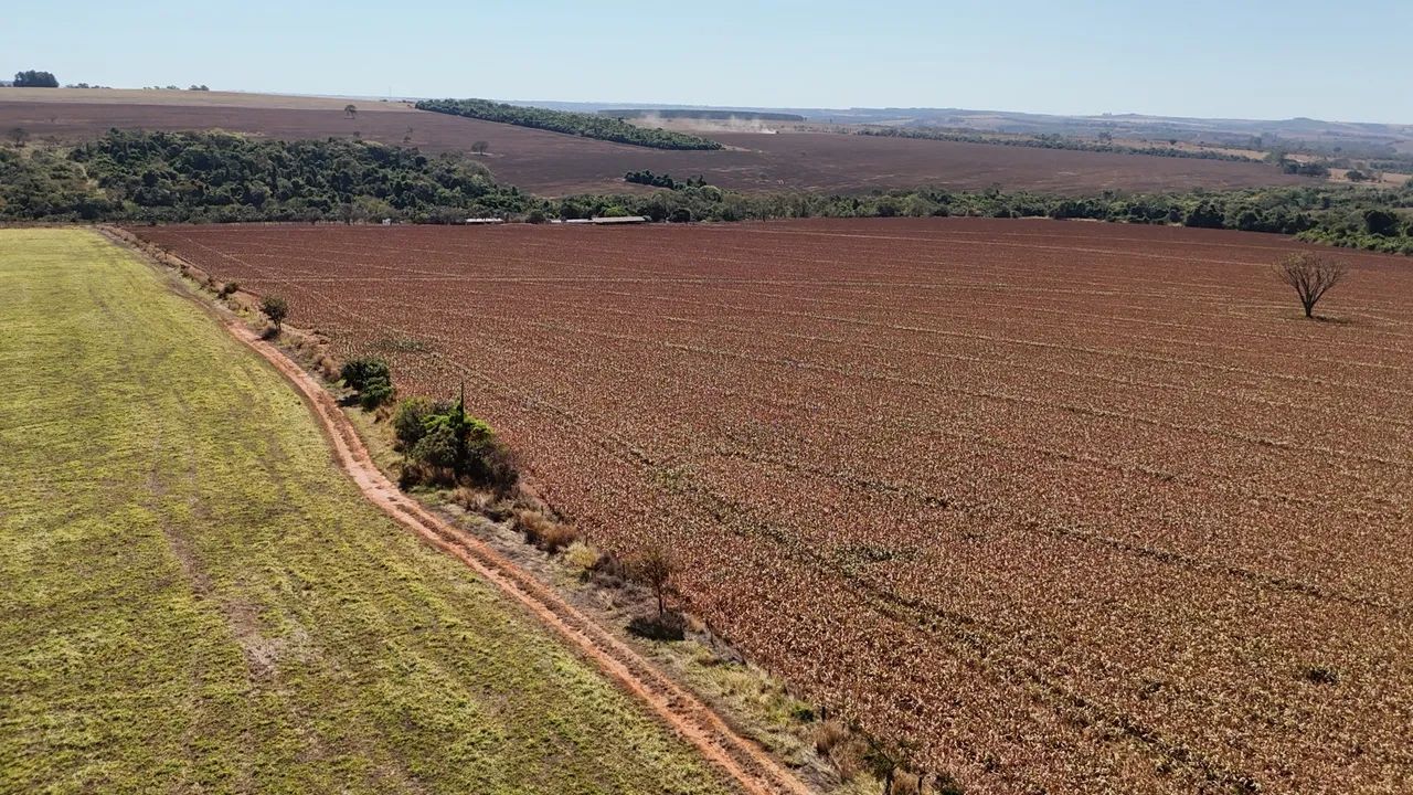Fazenda px Anápolis  - Foto 5